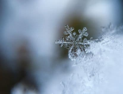 Snow flake close up in focus