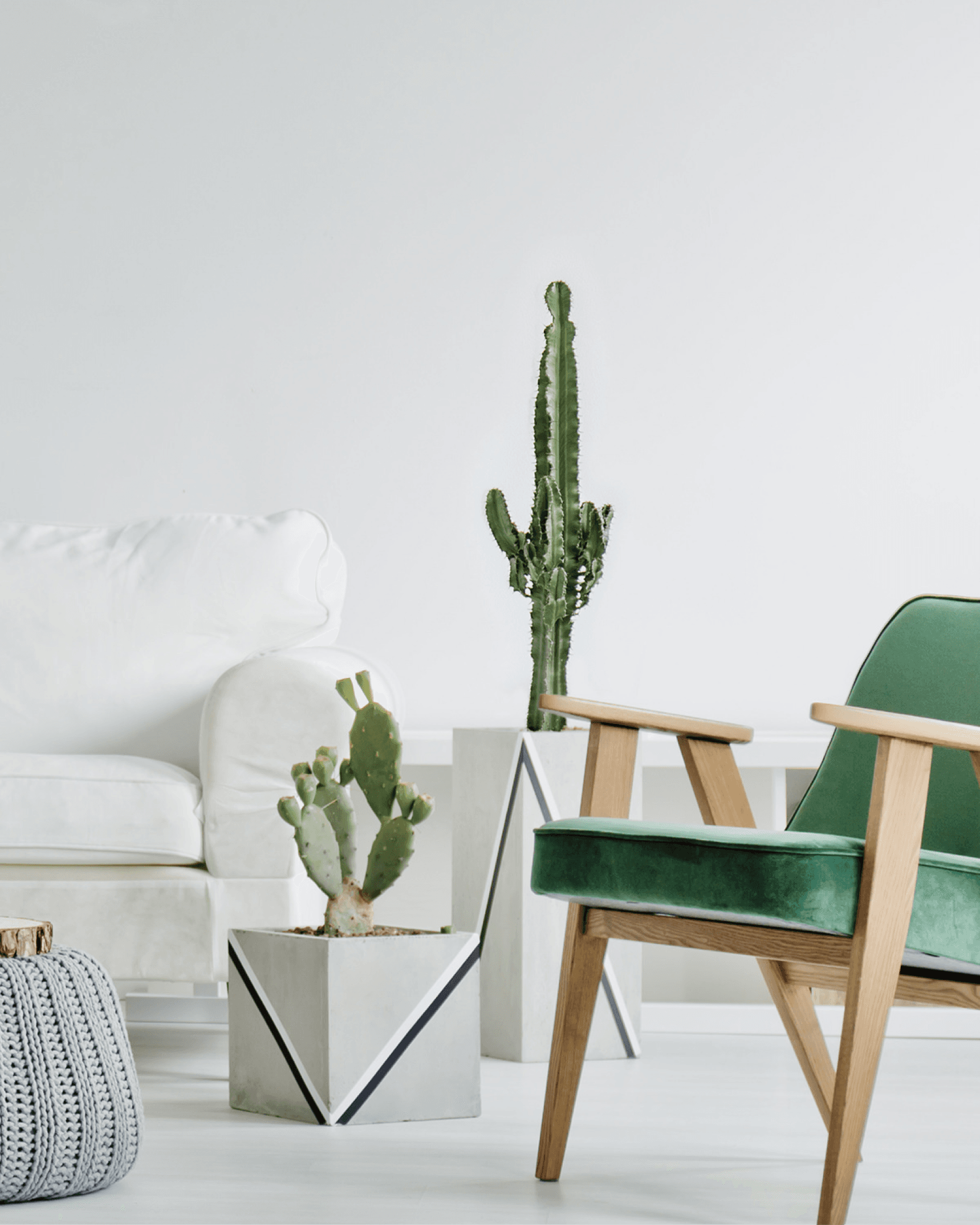 Modern sitting room with part of white sofa, two cacti and a green arm chair