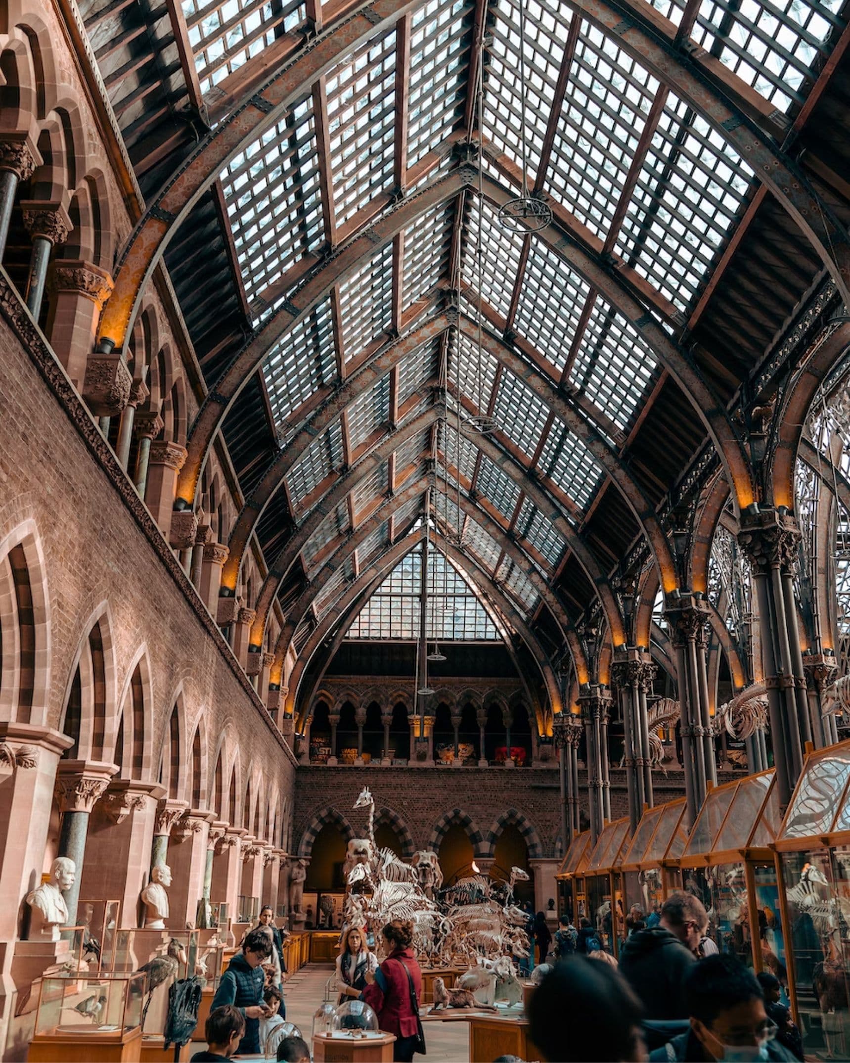 Pitt Rivers Museum