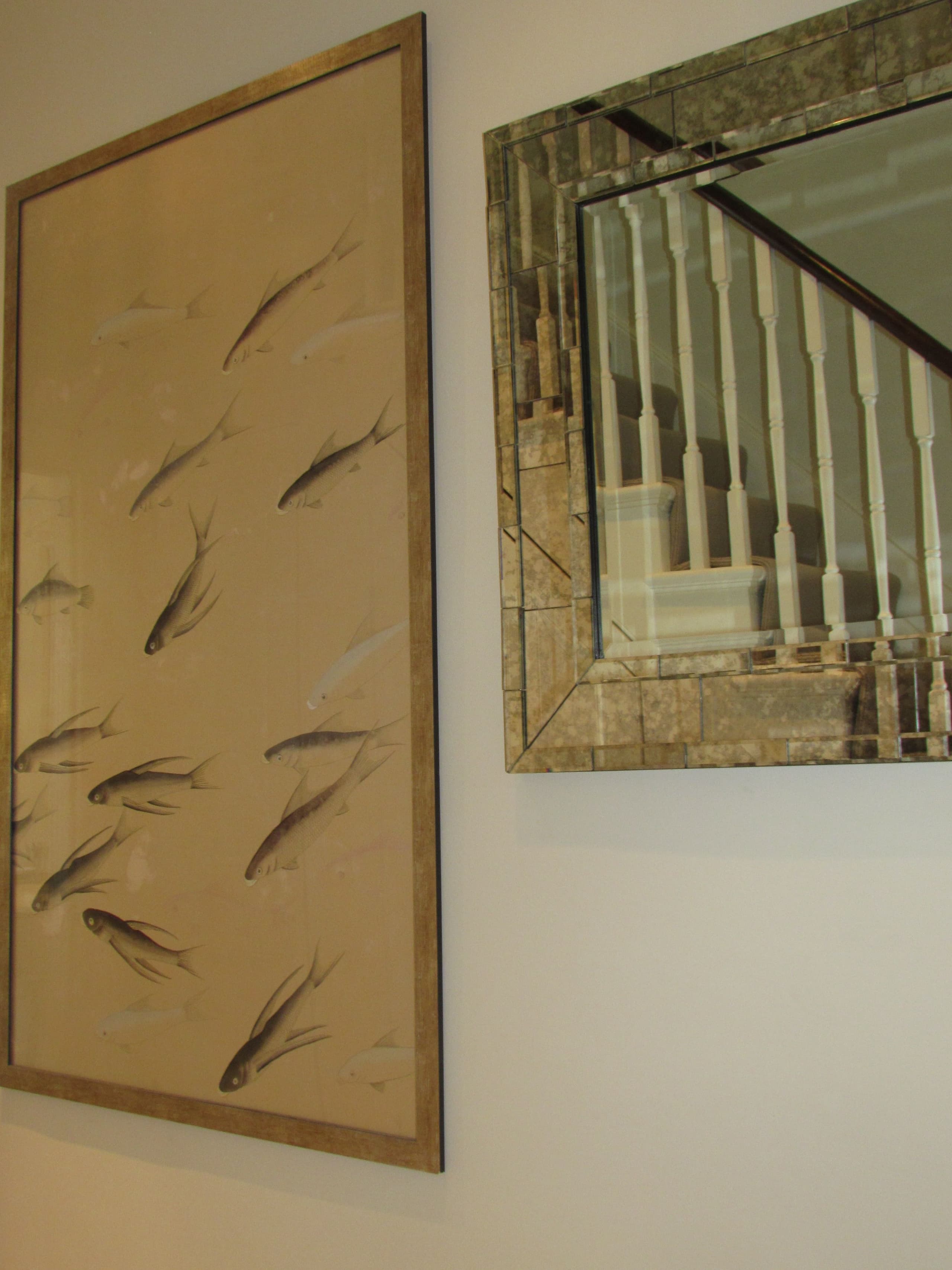 picture of fish and mirror