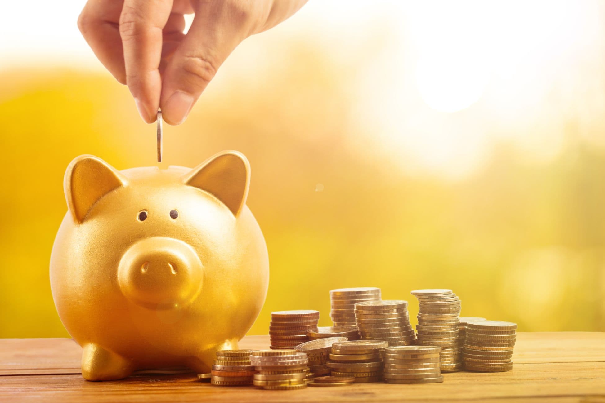 Piggy bank with money next to it